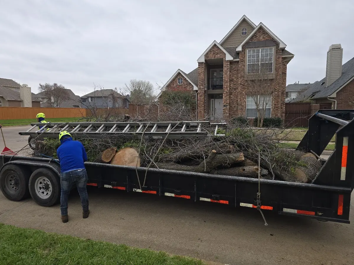 Expert Tree Pest Control with proper safety equipment in Munising